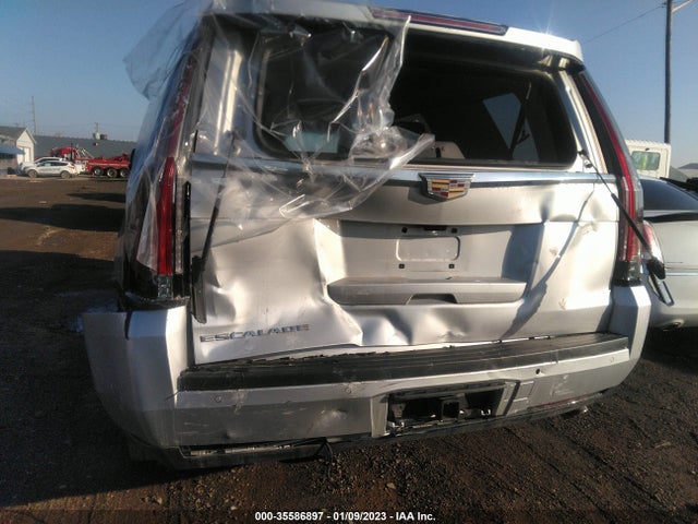 2020 Cadillac Escalade, VIN: 1GYS4BKJ6LR297882