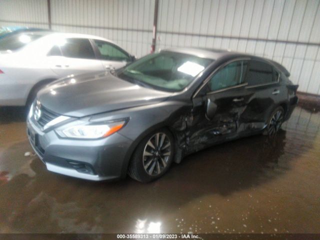 1N4AL3AP1GC264349 Nissan Altima 2.5 Sv