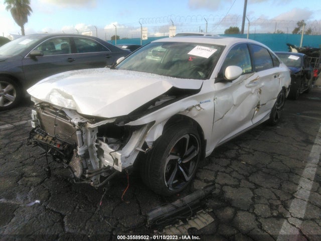 2019 Honda Accord, VIN: 1HGCV3F99KA022499