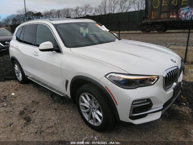 2019 BMW X5, VIN: 5UXCR6C51KLL10395