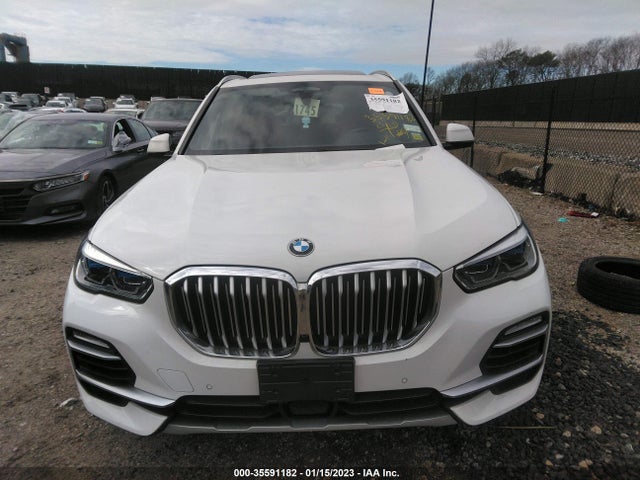 2019 BMW X5, VIN: 5UXCR6C51KLL10395