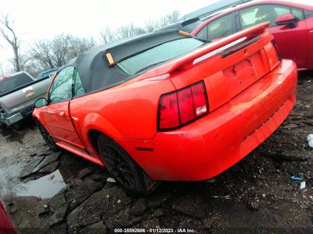 2004 FORD MUSTANG DELUXE/PREMIUM VIN: 1FAFP44634F178117
