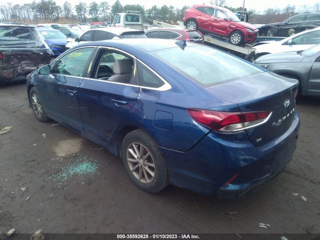 2019 Hyundai Sonata, VIN: 5NPE24AF4KH743888