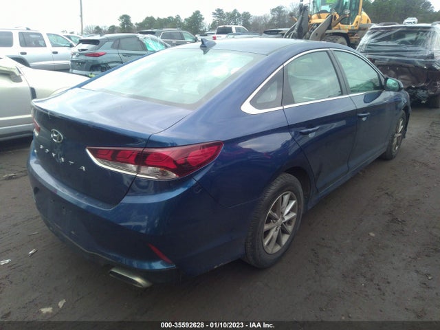 2019 Hyundai Sonata, VIN: 5NPE24AF4KH743888