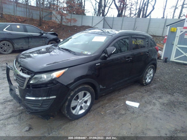 2011 KIA SPORTAGE LX VIN: KNDPBCA20B7079271