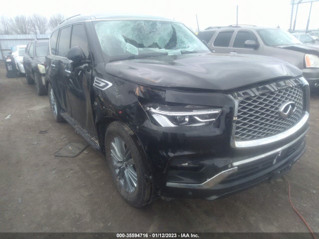 2019 Infiniti QX80, VIN: JN8AZ2NE1K9230921