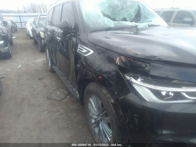 2019 Infiniti QX80, VIN: JN8AZ2NE1K9230921