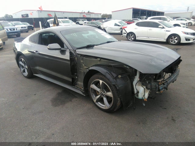 2015 Ford Fastback, VIN: 1FA6P8AM9F5346698
