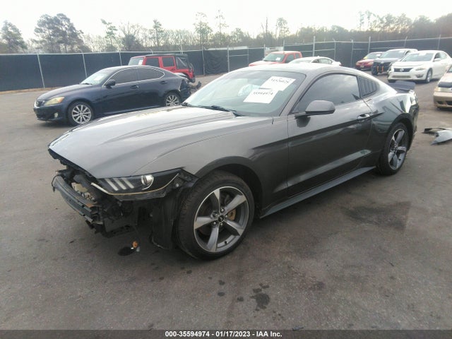 2015 Ford Fastback, VIN: 1FA6P8AM9F5346698