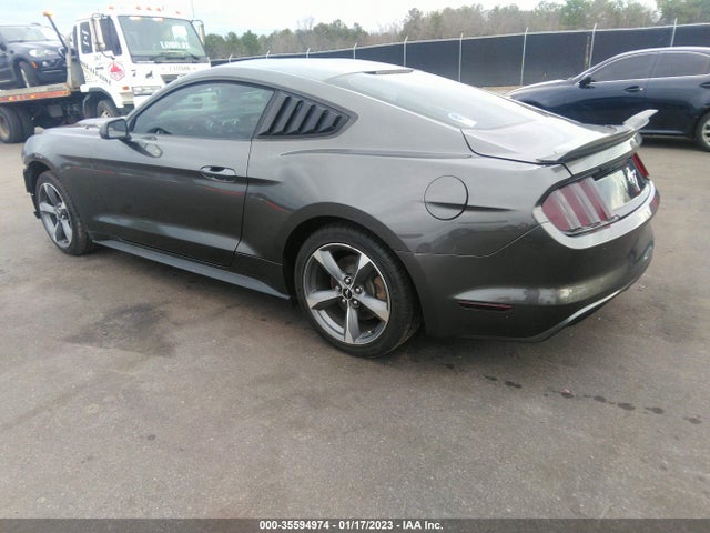 2015 Ford Fastback, VIN: 1FA6P8AM9F5346698