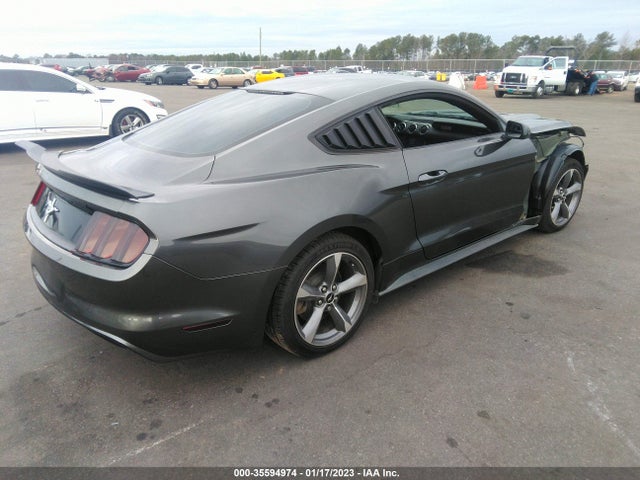 2015 Ford Fastback, VIN: 1FA6P8AM9F5346698