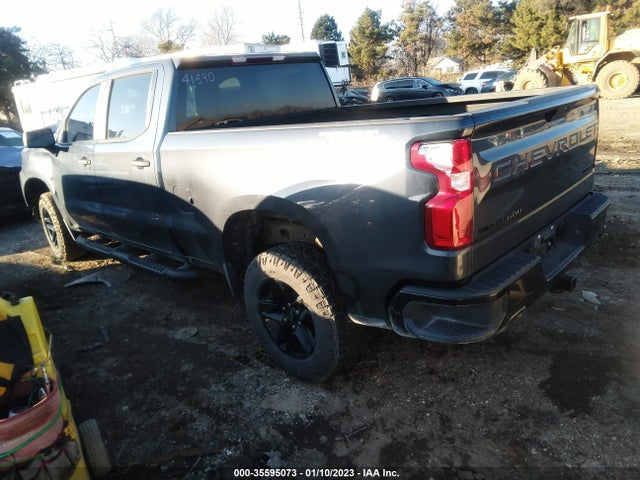 Chevrolet Silverado 1500 Custom Trail Boss 2021 1GCPYCEF2MZ295870 Image 3