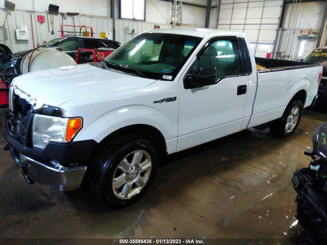 2011 FORD F-150 XL/STX/XLT VIN: 1FTMF1CM6BKD79808
