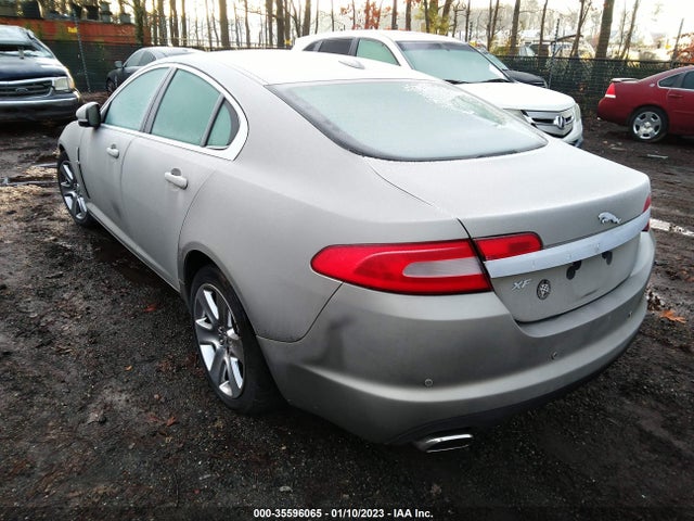 SAJWA0FB7BLR87523 Jaguar XF