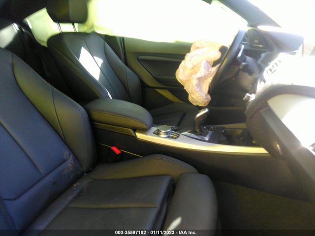 2017 BMW 2 Series, VIN: WBA2G3C34H7A25398