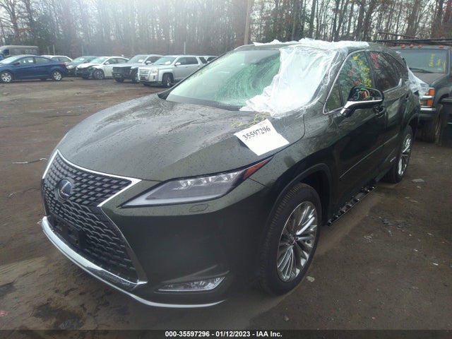 2021 Lexus RX, VIN: JTJJGKFA3M2017412