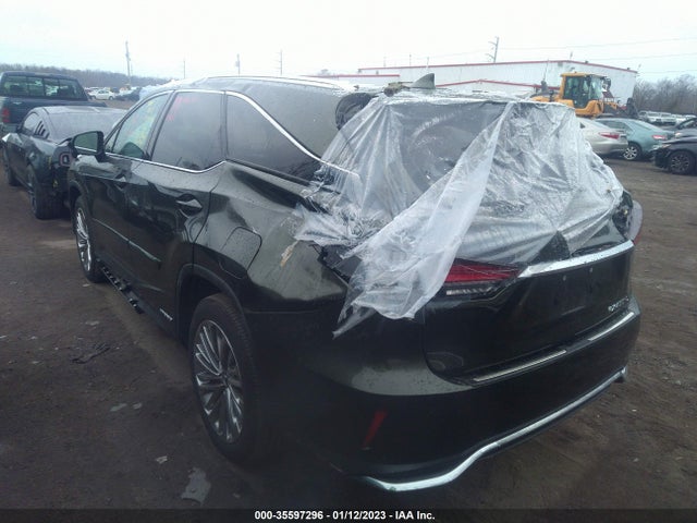 2021 Lexus RX, VIN: JTJJGKFA3M2017412