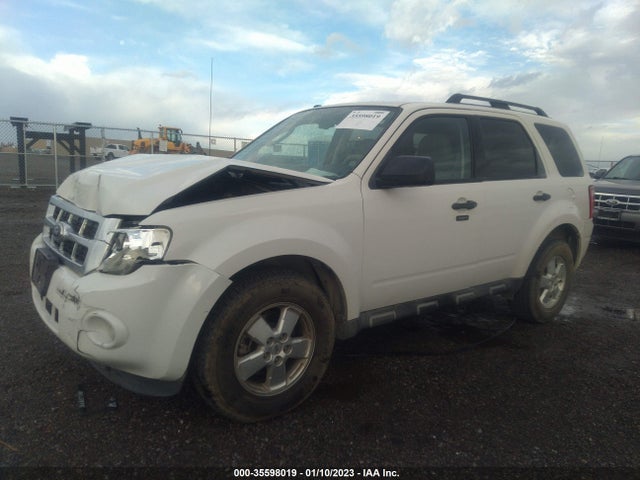 2011 FORD ESCAPE XLT VIN: 1FMCU0DG7BKA38644
