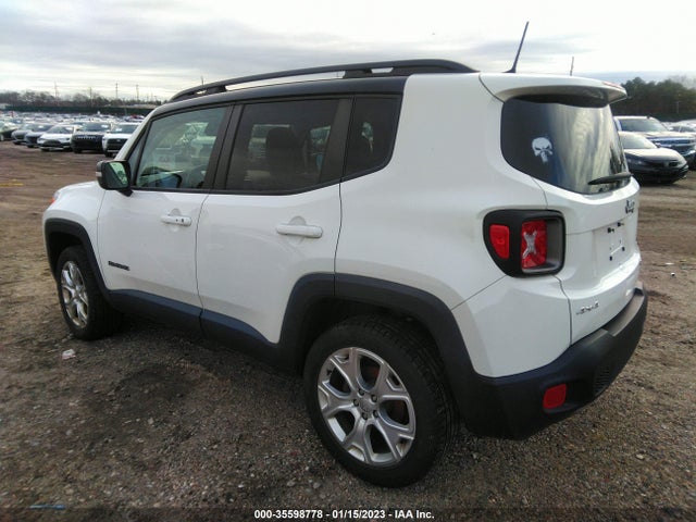 2019 Jeep Renegade, VIN: ZACNJBD12KPK04455