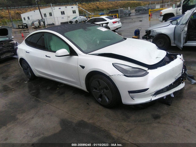 2021 5YJ3E1EA7MF058166 main image