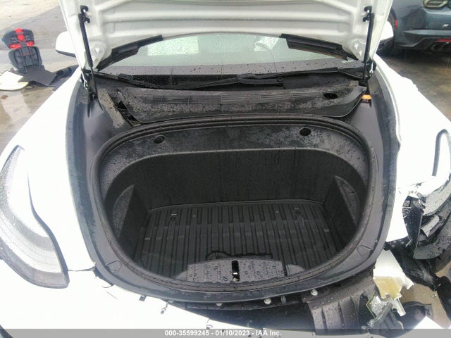 Tesla Model 3 Standard Range Plus 2021 5YJ3E1EA7MF058166 Image 10