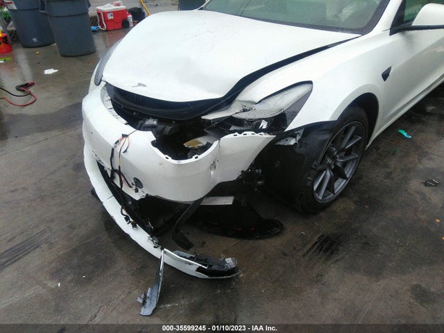 Tesla Model 3 Standard Range Plus 2021 5YJ3E1EA7MF058166 Image 6