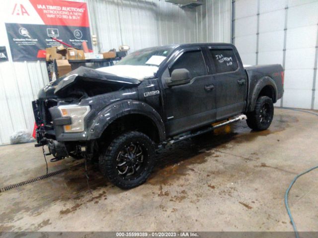 1FTEW1EP7FKD17559 Ford F-150 Xlt/xl/lariat