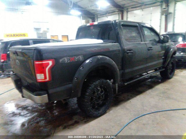 1FTEW1EP7FKD17559 Ford F-150 Xlt/xl/lariat