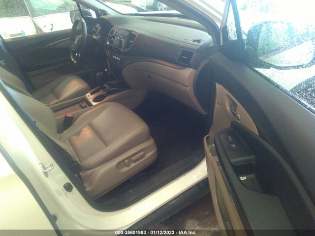 2019 HONDA PILOT EX-L VIN: 5FNYF5H55KB022515