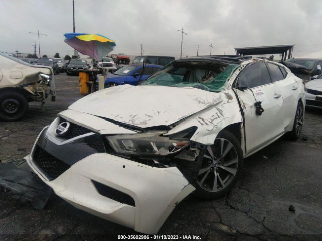 1N4AA6AP1GC376351 Nissan Maxima 3.5 Sl