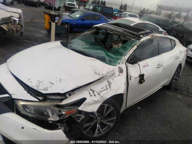 1N4AA6AP1GC376351 Nissan Maxima 3.5 Sl