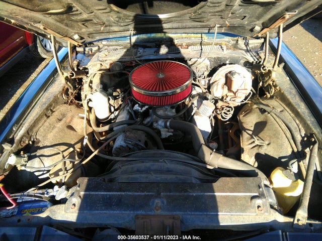 1979 CHEVROLET CAMARO VIN: 1Q87G9L554209