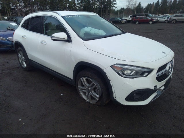 2023 Mercedes-Benz GLA-Class, VIN: W1N4N4HB7PJ450810