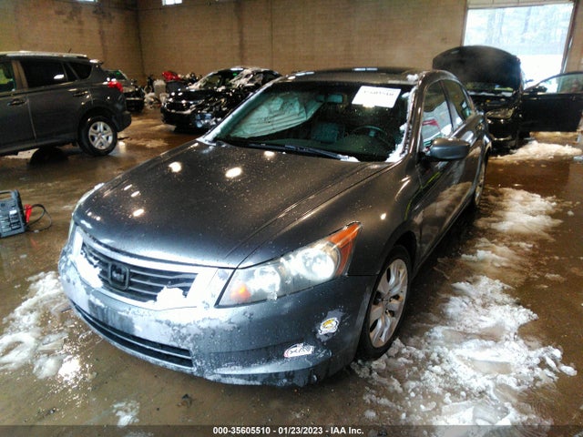 Honda Accord Sdn Ex-l 2010 1HGCP2F8XAA046806 Image 2