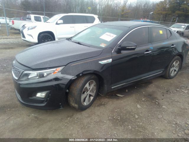 KNAGM4AD5G5092132 KIA OPTIMA HYBRID