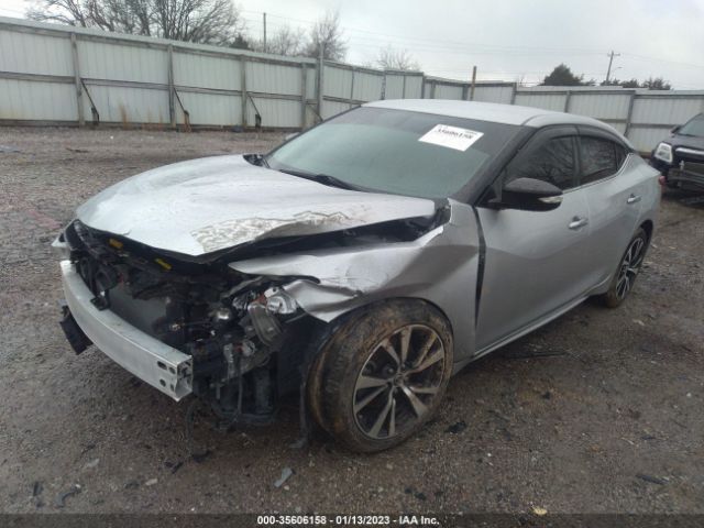 1N4AA6APXJC388523 Nissan MAXIMA SV