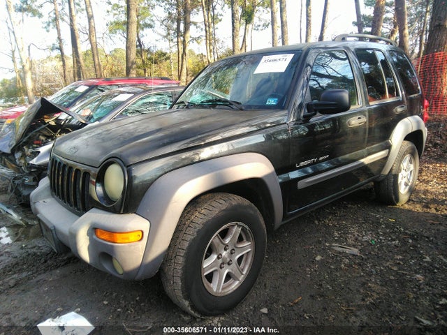 2003 JEEP LIBERTY SPORT VIN: 1J4GL48K13W702892