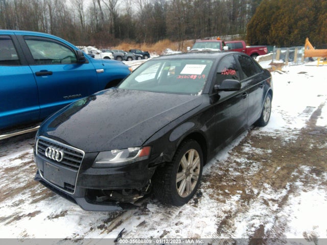 WAUBFAFL2BN046205 Audi A4 2.0t Premium