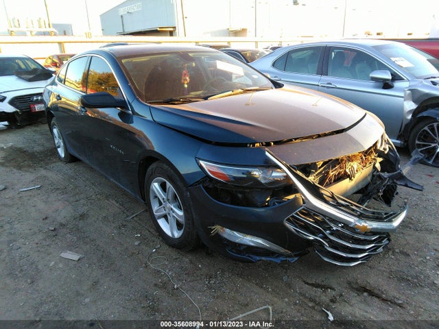 2019 1G1ZB5ST8KF124869 главное изображение