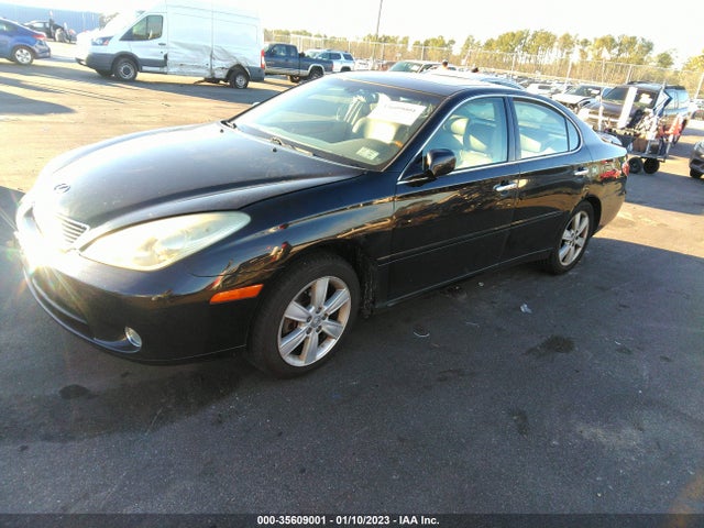 Lexus ES 330 2005 JTHBA30G655081065 Image 2