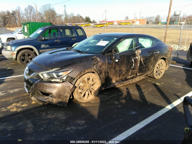 Nissan Maxima 3.5 Sr 2016 1N4AA6AP6GC405102 Image 2