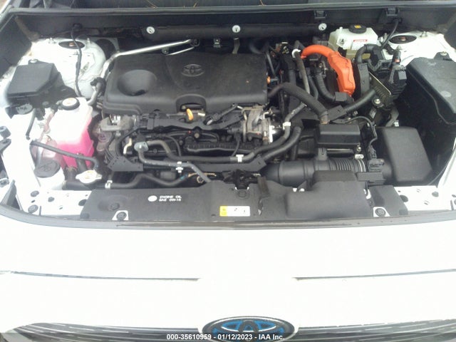 2020 Toyota RAV4, VIN: 2T3EWRFV5LW080133