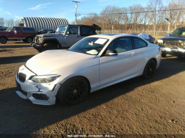 2021 BMW 2 Series, VIN: WBA2J7C00M7G59736