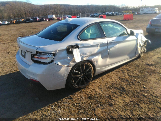 2021 BMW 2 Series, VIN: WBA2J7C00M7G59736
