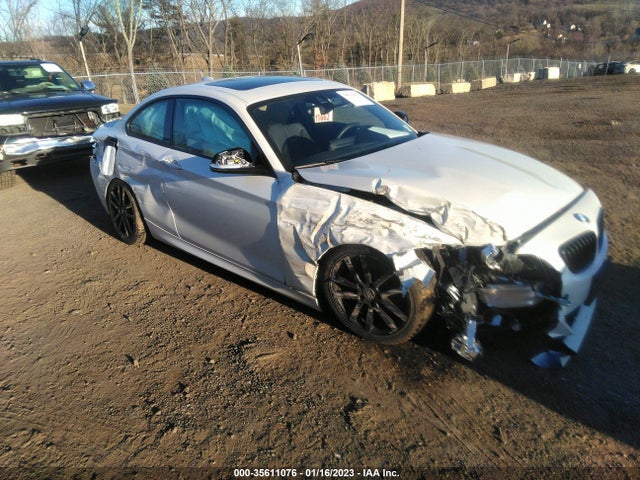 2021 BMW 2 Series, VIN: WBA2J7C00M7G59736