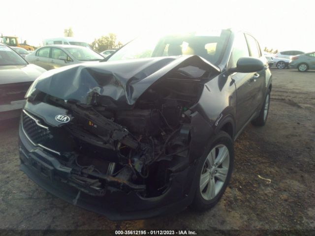 KNDPM3AC4K7590517 KIA Sportage Lx