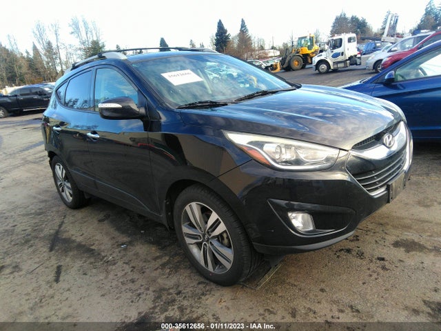 2015 Hyundai Tucson, VIN: KM8JUCAG1FU087930