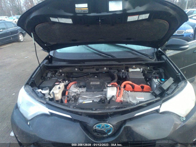 2016 Toyota RAV4, VIN: JTMRJREV5GD044981