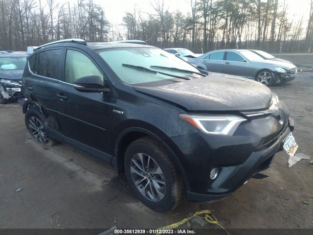 2016 Toyota RAV4, VIN: JTMRJREV5GD044981