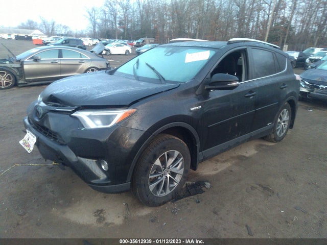 2016 Toyota RAV4, VIN: JTMRJREV5GD044981